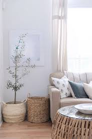 (trying saying that five times fast.) mini pine trees covered in string lights are sure to cozy up any space. Olive Tree Indoor Trees Olive Tree In Large Basket Olivetree Indoortrees Decor House Rental Home Decor