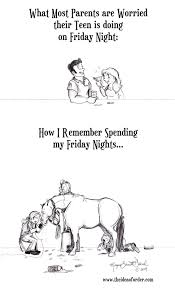 The Idea Of Order Horse Quotes Funny Funny Horses Horse Quotes