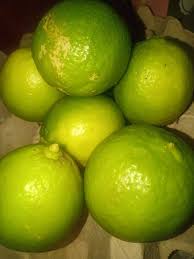 Bukan sahaja mudah, dan mesra alam namun jangan bimbang, kerana kami ada petua berkesan untuk halau cicak dari rumah buat. Cucuk Cengkih Pada Limau Nipis Betul Betul Menjadi Petua Halau Lalat Ni Mingguan Wanita