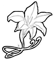 Lily Art Nouveau By Heidiceleghin On Deviantart Large Art Nouveau Flowers Flower Drawing Tangled Concept Art