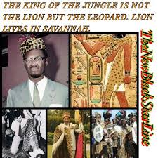 The African Leopard Is The King Of The Jungle Not The Lion According To African Tradition And Folklore The Lion Lions Live African Leopard African Traditions