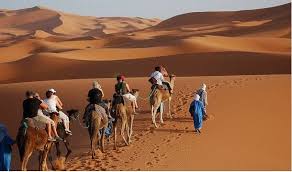 Camel trip morocco enjoy the desert with the nomads. Carmel Rides In Morocco Desert Tour Morocco Tourism Morocco Tours