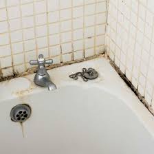For more info, watch our how to get rid of mold off the bathroom ceiling video. Does Bathroom Paint Stop Mould Luna Spas