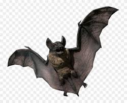Vampire Statue Png Vampire Bat 3d Model Transparent Png 743x600 4056038 Pngfind Download transparent bat png for free on pngkey.com. vampire bat 3d model transparent png