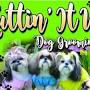 Kuttin it Up Dog Grooming Salon LLC from m.facebook.com