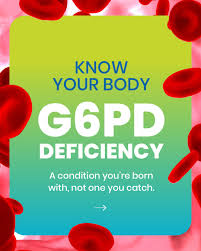 Image result for G6PD Deficiency