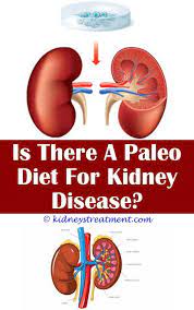 Kidney Doctor Polycystic Kidney Disease Kidney Disease Kidney Disease Recipes