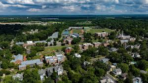 Image result for Peddiea