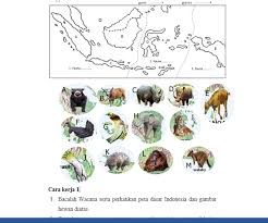 Download rpp sma keanekaragaman hayati. M Fauzi Hamzah Rpp Biologi Keanekaragaman Hayati