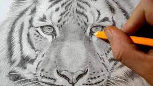 Draw an inverted triangle with two lines at both sides for the nose. How To Draw A Tiger Realistic Pencil Drawing Youtube