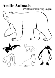 Arctic Animals Printable Coloring Pages Arctic Animals Printables Polar Animals Arctic Animals
