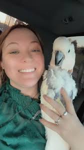 Does anyone like Plucky the bird in Animal Crossing?