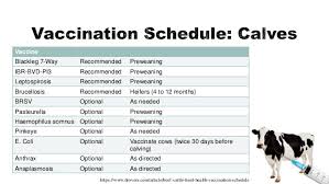 vaccination programmes for cattles in sri lanka