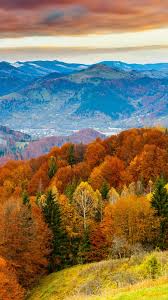 Fall Mountain Fun Red Orange Tree Nature Iphone 6 Wallpaper Download Iphone Wallpapers Ipad Wal Fall Wallpaper Nature Iphone Wallpaper Iphone Wallpaper Fall