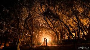 With so many different wedding website options out there we wanted to take the guesswork out of the equation. How Do I Find A Wedding Photographer