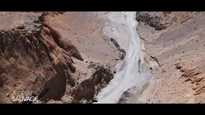 Avec « à l'état sauvage, retour sur l'aventure », l'artiste vous dévoile en exclusivité les coulisses de son expérience, a travers des moments inédits ! Shy M Dans A L Etat Sauvage Video Dailymotion