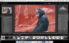 The default location is in the bottom left corner of the screen, but it may be located somewhere else. How To Use Lightroom Noise Reduction Luminance Color Noise