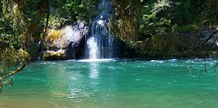 Maybe you would like to learn more about one of these? Moonshine Park Lincoln County Oregon