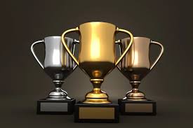 Image result for Dark Brown 2025 Fleet