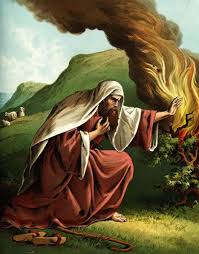 Moses And The Burning Bush Bible Pictures Bible Illustrations Bible Art