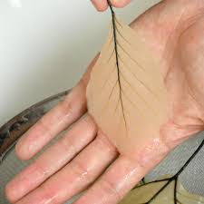 Durchsichtige Blatter Video Diy Crafts To Sell Crafts Hacks Diy Crafts Hacks