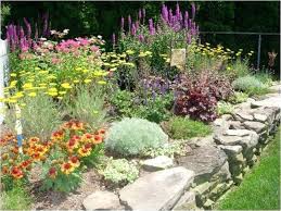 Front Yard Perennial Garden Perennial Garden Zone 5 New 4 Creati Front Yard Landscaping Ideas Zone Perennial Garden Design Perennial Garden Plans Garden Layout