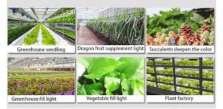 Having a grow light is like having a mini sun in your grow tent. T5 Led Grow Lights Full Spectrum Tube 2ft 3ft 4ft 5ft Ip68 Waterproof Led Plant Grow Light Bar Wholesale China Led Grow Light Tube Led Grow Tube Made In China Com