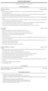 Uat Tester Resume Sample Mintresume