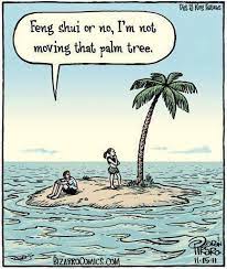 Alex Shaw Shares A Feng Shui Joke Found On Google Search Dallas Feng Shui Too Funny Feng Shui Jokes Feng Shui Funny Pictures