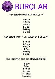 Koc Balik Burclar Ikizler Ikizler Burcu