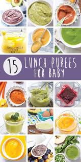 15 Lunch Ideas For Baby 6 Months Healthy Baby Food Baby Food Recipes Baby Puree Recipes