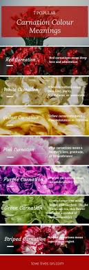 You Are Being Redirected Flower Meanings Carnation Flower Meaning Small Flower Gardens