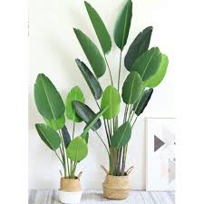 Check spelling or type a new query. Premium Quality Banana Leaf Artificial Plants Shopee Malaysia