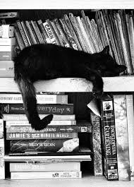 Posca Broad Paint Marker Violet Purple Cats Black Cat Crazy Cats