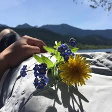 Ellen Daugherty (@EllenEDaugherty)