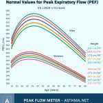 Asthma Peak Flow Meter Chart Template Airlife Check Readings