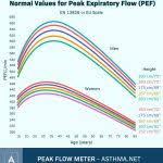 asthma peak flow meter chart template airlife check readings