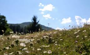 Nacionalni park risnjak, risnjak national park croatia. Nacionalni Park Risnjak Np Risnjak Put Oko Svijeta