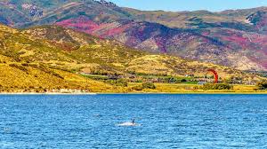 Its local government area is. 177 Deer Kite Photos Free Royalty Free Stock Photos From Dreamstime