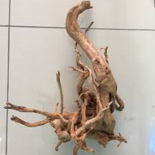 Driftwood Col Kutugu Mango Koku Ankara Pet Akvaryum Ve Evcil Hayvan Urunleri Facebook