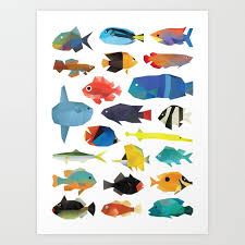 Tropical Fish Chart Art Print By Polymolystudio