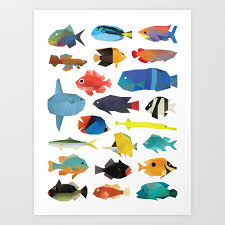 tropical fish chart art print by polymolystudio