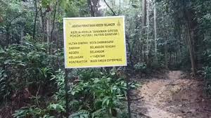 +603 5544 7000 talian bebas tol : Kota Damansara Community Forest Park Osmo Mobile Youtube