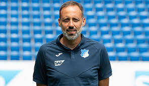 Columbia'dan mezun olduktan sonra matarazzo, profesyonel bir futbolcu olarak kariyer yapmaya. Pellegrino Matarazzo Wird Neuer Trainer Des Vfb Stuttgart