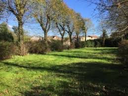 « we are who we are » : Vente Terrain 5000 M2 Trovit