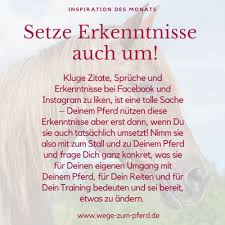 Wege Zum Pferd Blog Archiv Setze Erkenntnisse Auch Um Inspiration Des Monats