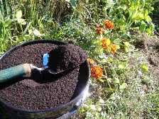 Plants use nitrogen in the synthesis of proteins, nucleic acids, and hormones. Enviroingenuity