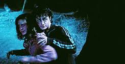 Some terms and conditions apply. Werewolf Harry Potter Wiki Fandom