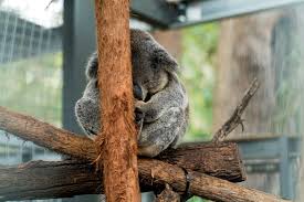 Delivery in melbourne is strictly contactless and limited to at your. Australia Archives Ultimate Adventure Travel