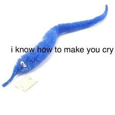 Formerly Soft Cowboy On Instagram Worms Cost 18 Dollars At Walmart Worm Worms Wormonastring Squirmle Squirmles Stupid Memes Funny Memes Worms
